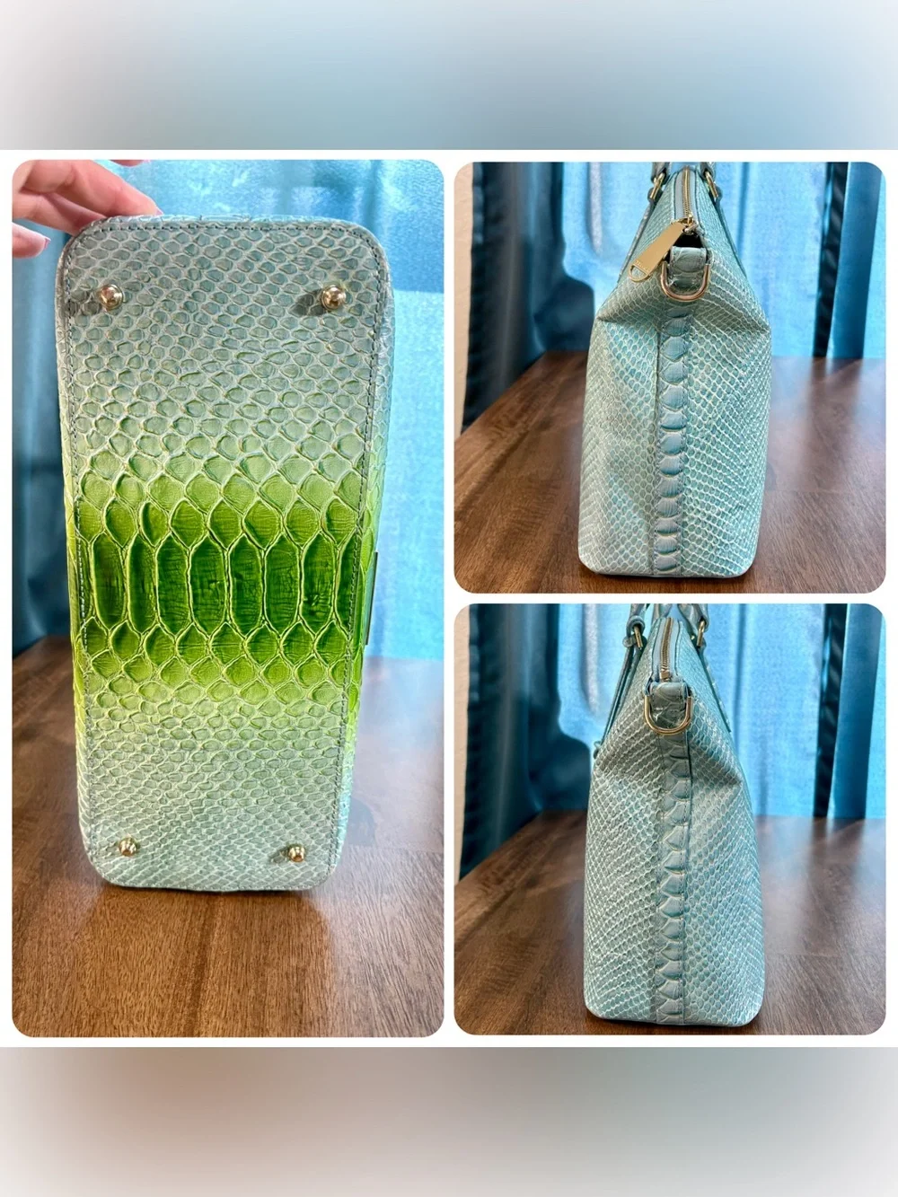 Brahmin euc lrg